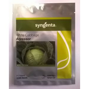 Fejeskáposzta Agressor 2500 szem SG Fejeskáposzta Agressor 2500 szem SG