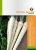 Petrezselyem Bardowicker 4 g RS
