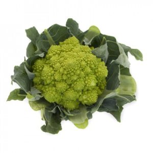 Karfiol Puntoverde 1000 szem RZ Karfiol Puntoverde 1000 szem RZ