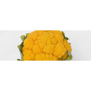 Karfiol Clementine F1 2500 szem SG Karfiol Clementine F1 2500 szem SG